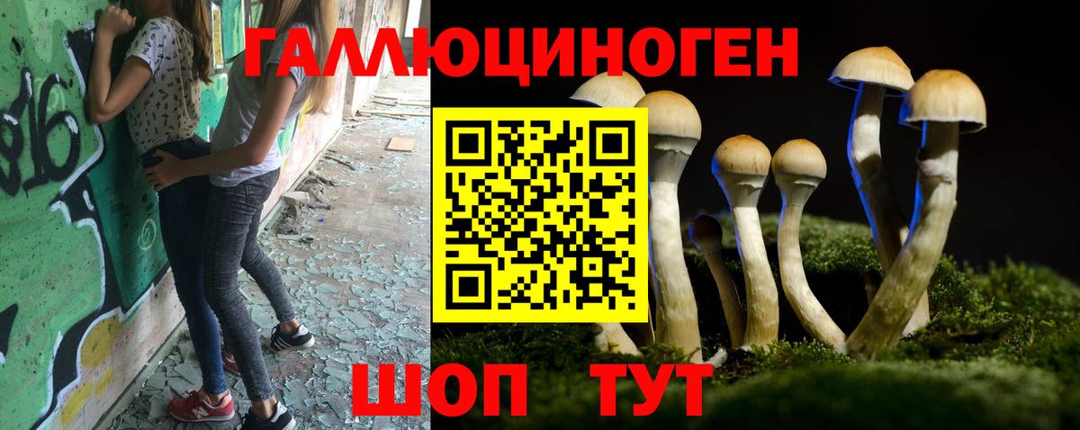 Псилоцибиновые грибы ЛСД  Вход с VPN  Канск 